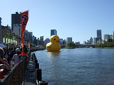 写真"