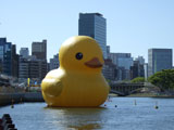 写真"