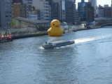 写真"